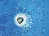 Stake(�й���)�ٷ���վ